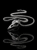 Omen Raven Skull Pendant Necklace image 0
